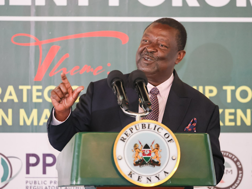 Kenya voices concern about rising refugee influx in Horn of Africa