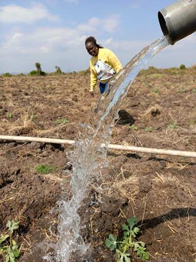 Report: Most water firms face shutdown over Sh25bn, losses, debt crisis