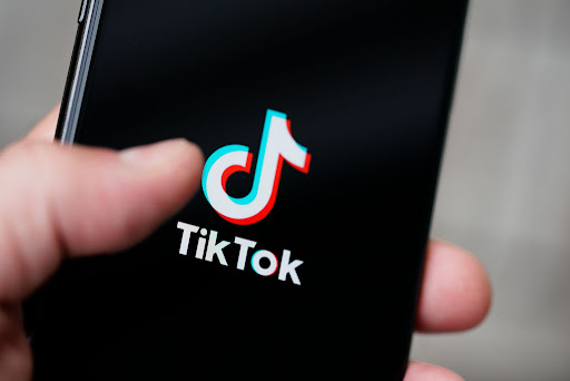 MPs back TikTok regulation, say total ban unnecessary