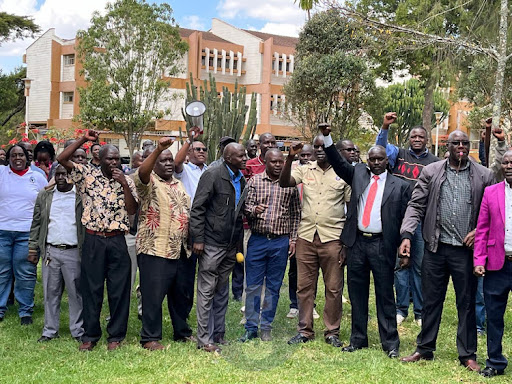 WANJAWA: Dignity of professoriate at a crossroads: Examining lecturers’ strike