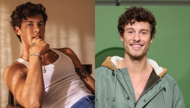 Singer Shawn Mendes opens up about his sexuality live on stage