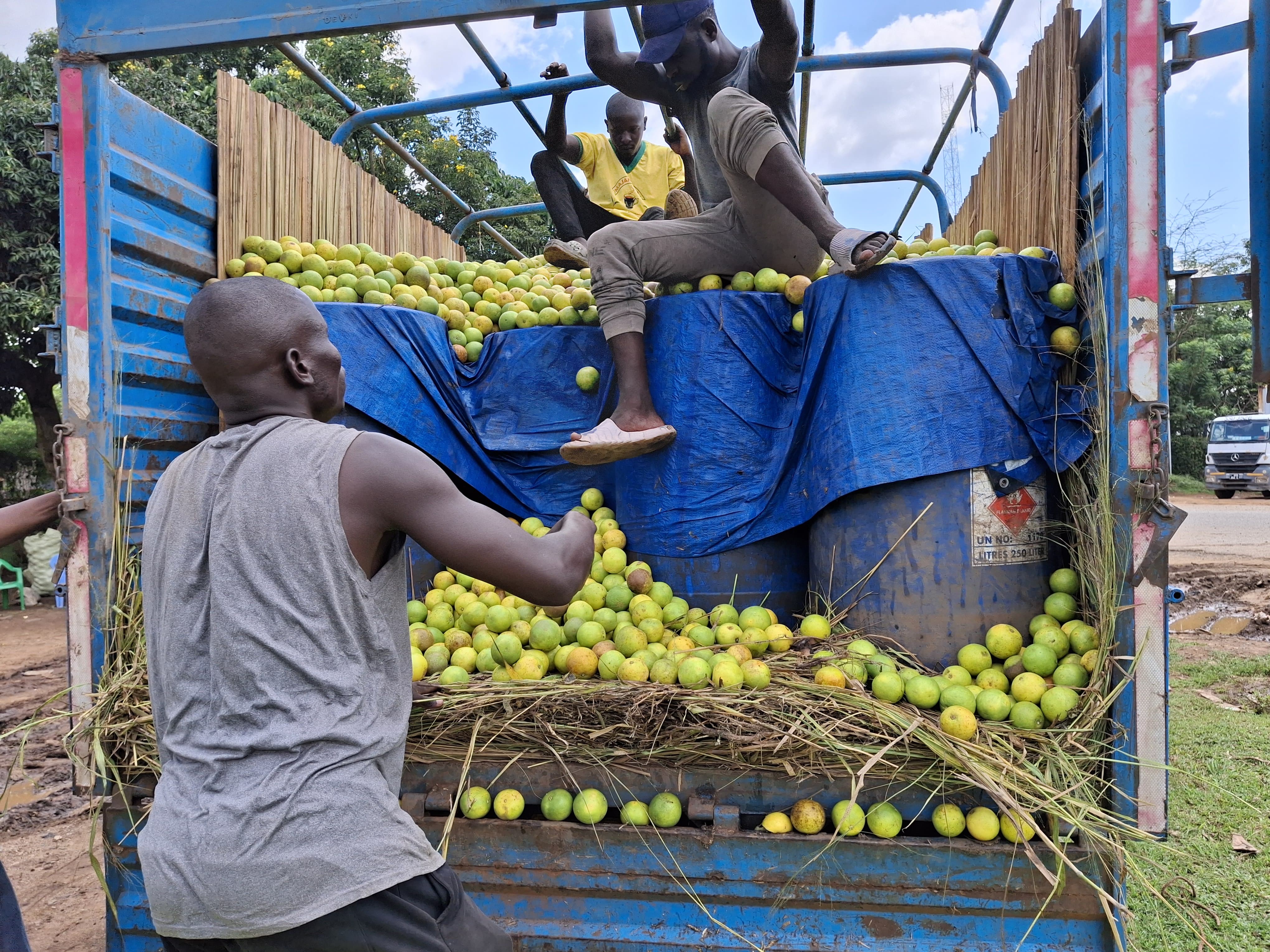 KRA nabs 7,500 litres of illegal ethanol in Bungoma