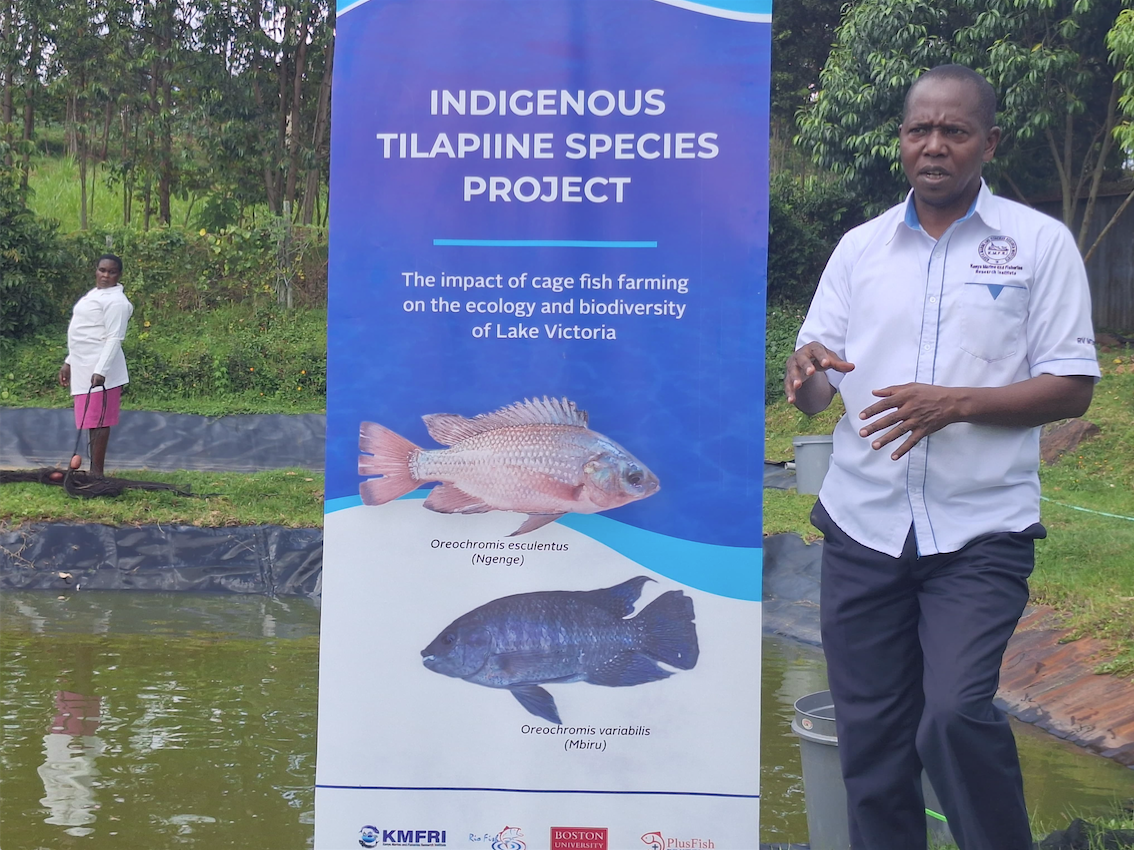 Research on endangered indigenous fish species underway to improve food security