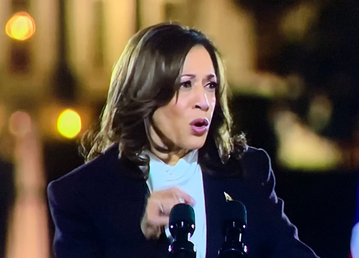 Harris pledges 'different path' at site of Trump 6 January rally
