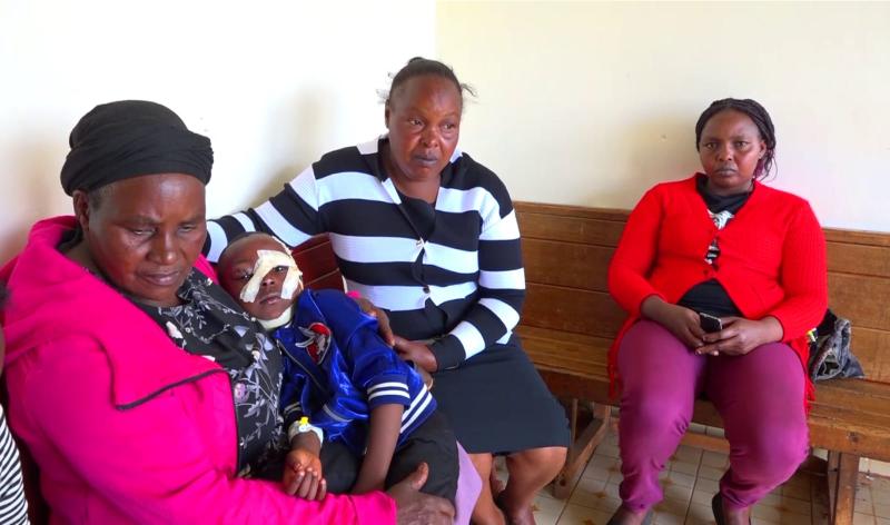 Fear as wild animals ravage villages neighboring Aberdares
