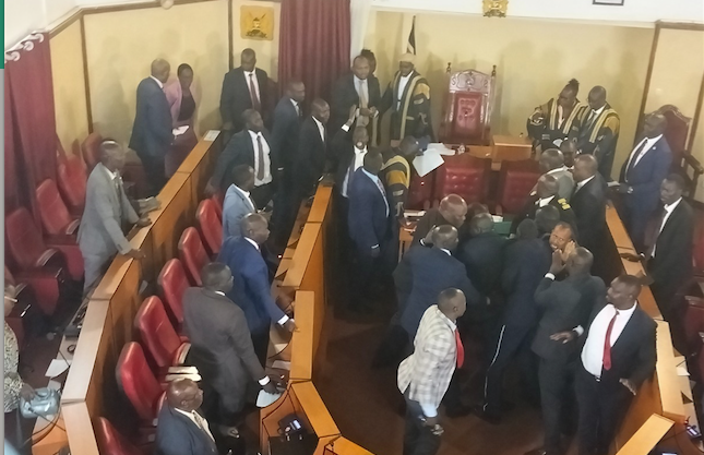 Nandi Assembly Voting Session Turns Chaotic As Ayes Sensed Defeat