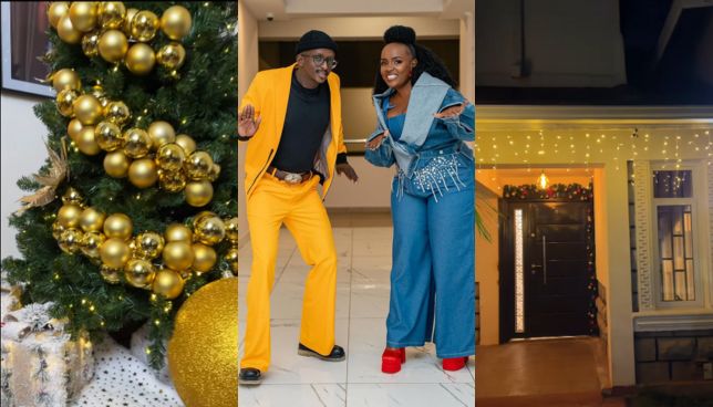 Celestine Ndinda excites fans as she unveils 2024 Christmas Decor