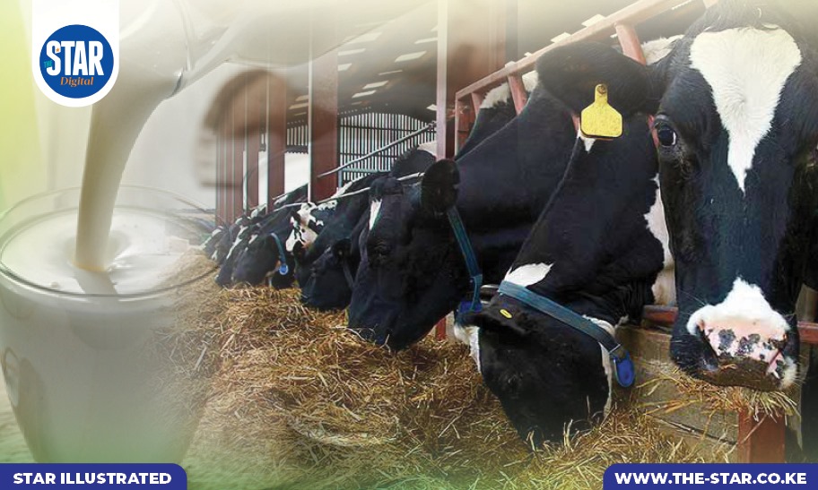 Causes of aflatoxin in milk