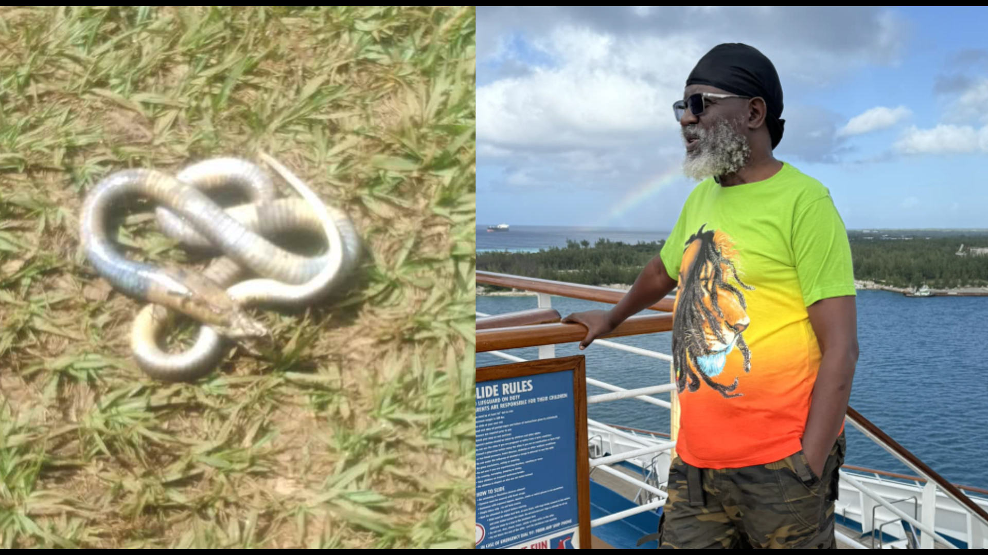 “Wachina wanatumia mifupa ya nyoka kuchochea Nyege” Wajackoyah asisitiza faida za kufuga nyoka