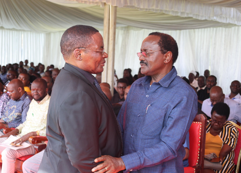 Kalonzo: Cops behind abductions must be charged