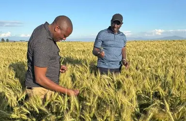 Ichung'wah amtetea Rais Ruto