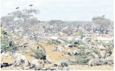 Call to reduce plastics, protect Kenyan women waste pickers