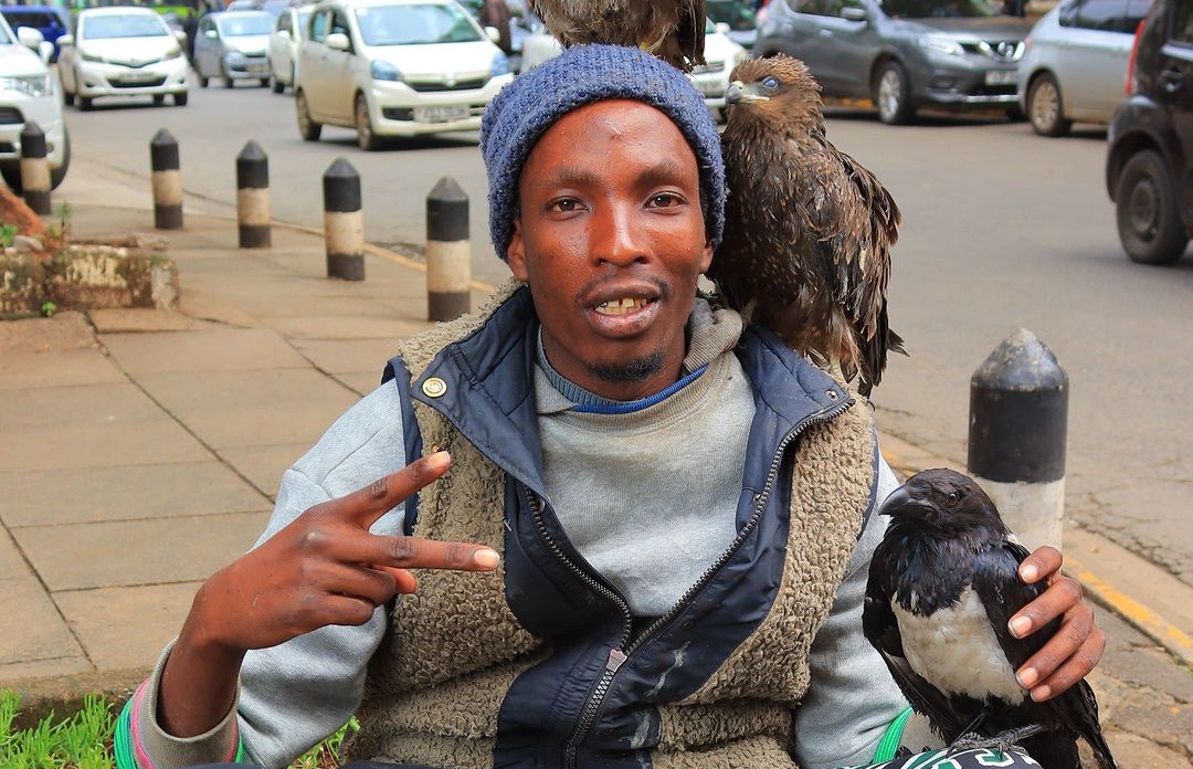 Nairobi Birdman Adds New Bird to His Pet Collection
