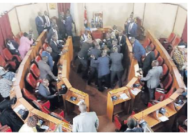 Nandi assembly suspended, ward reps brawl over report on widespread graft