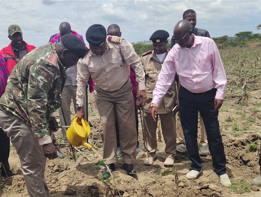 Narok : Need for consolidated approach to boost tree cover