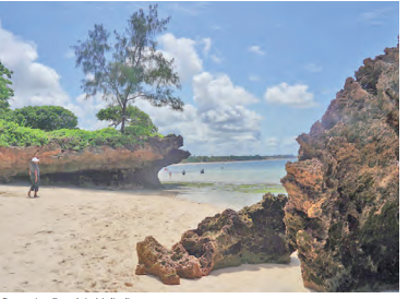 Court suspends construction of high-rise building  in Malindi