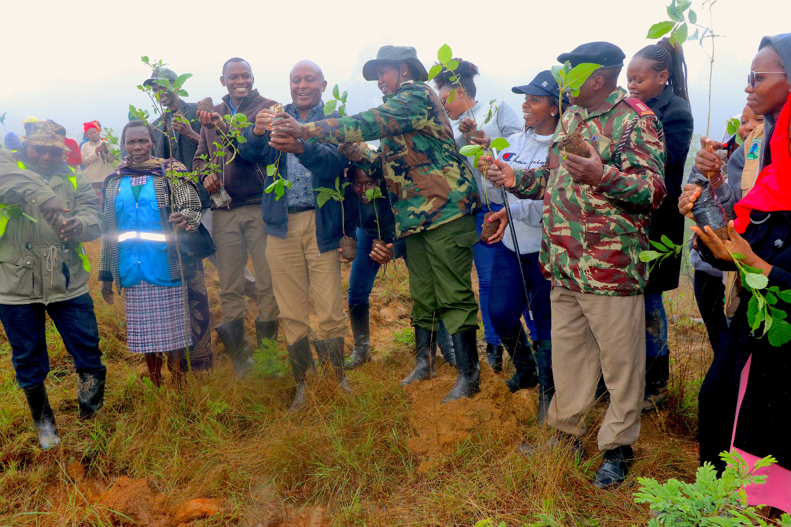 Makueni kicks off campaign to grow 1 million trees