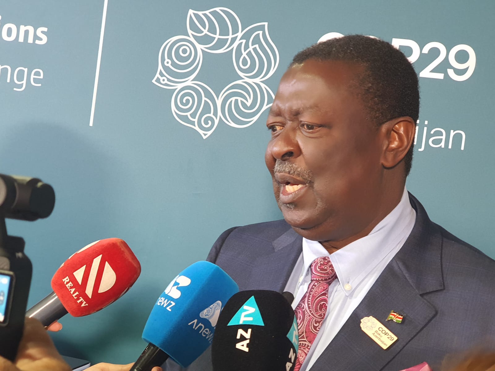 Report calls for more effort to triple renewable energy