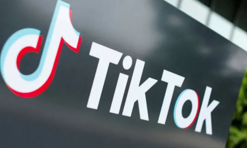 TikTok yapigwa marufuku ya mwaka mmoja nchini Albania