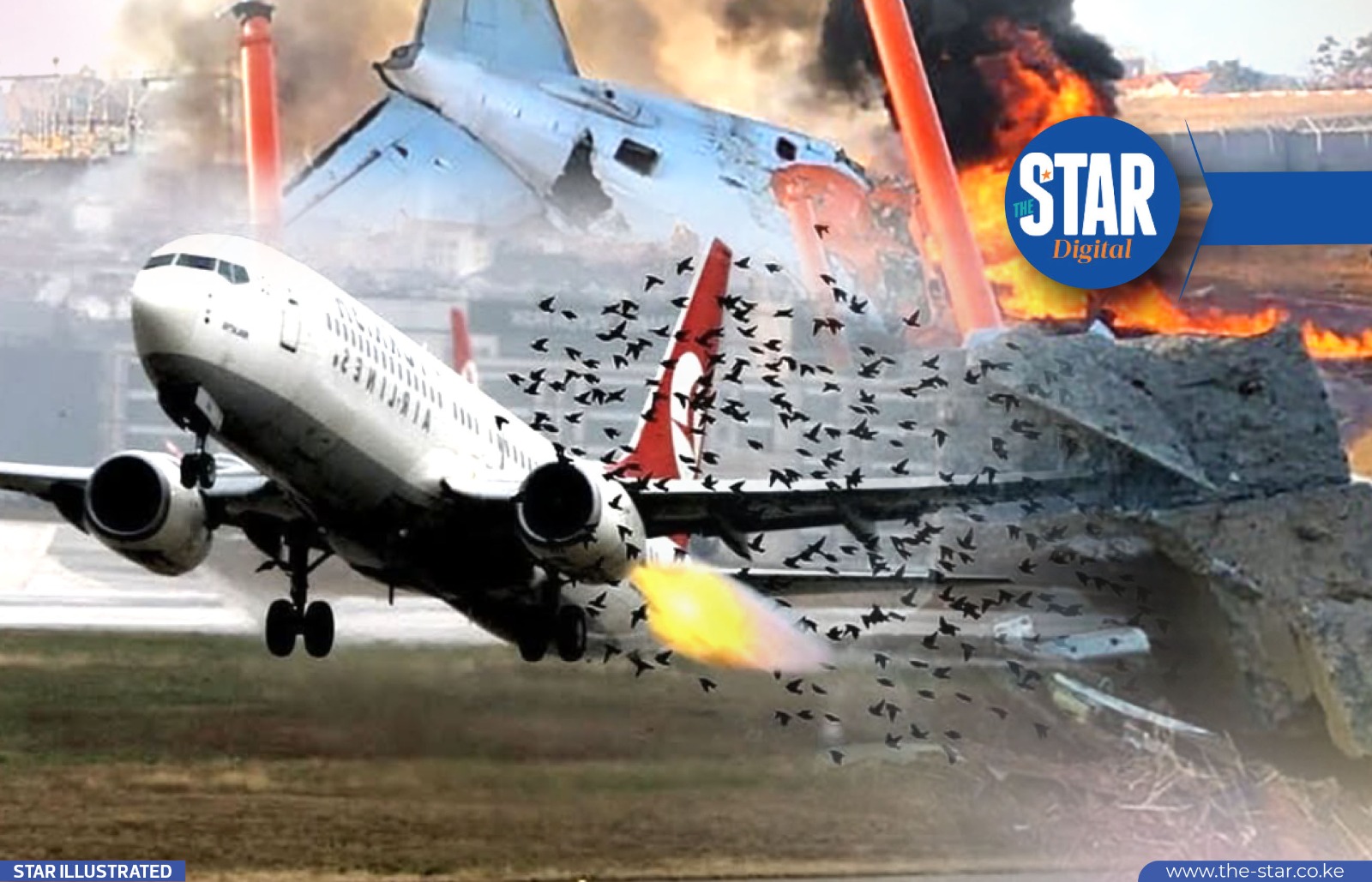 What is a Bird Strike?