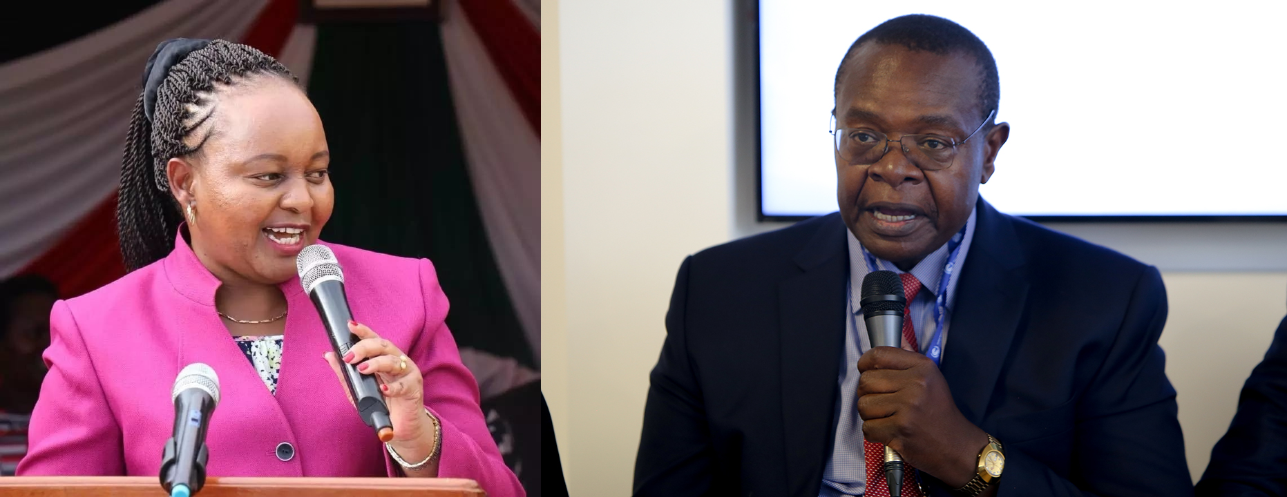 Kirinyaga, Busia top in development budget absorption