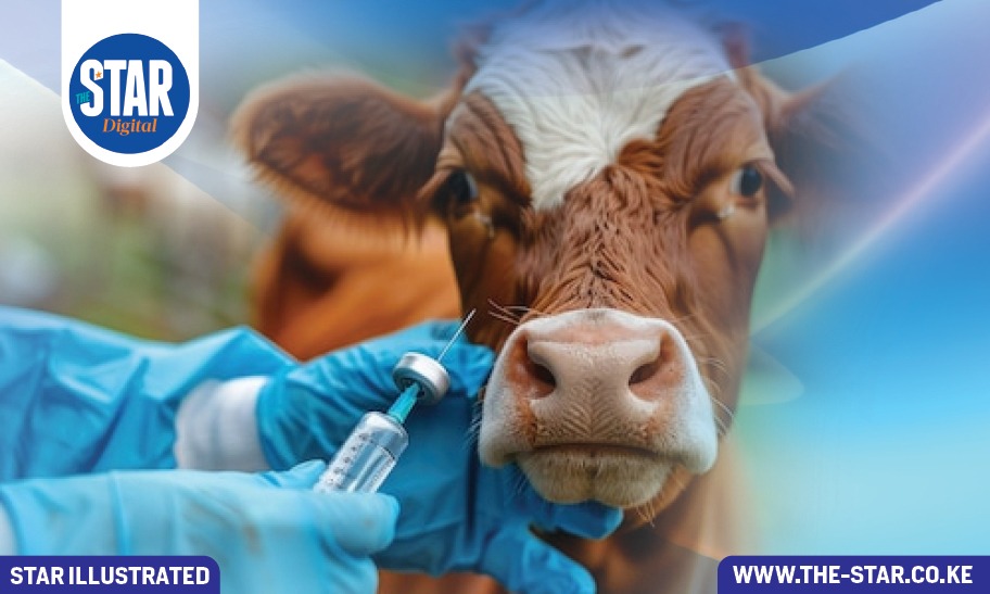 Animal Vaccination at a glance