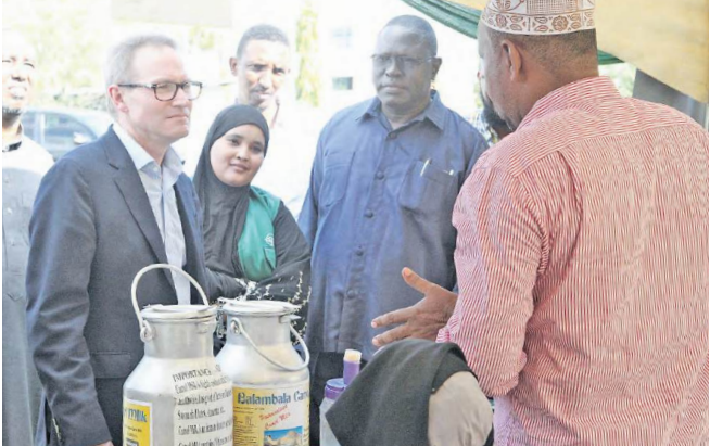 UK will continue to support projects in Garissa — envoy