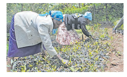 Women’s participation in Kenya’s labour market limited - report