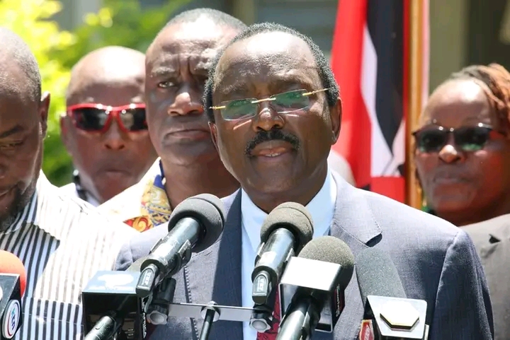 Kalonzo anamtaka Ruto kukomesha visa vya utekaji nyara