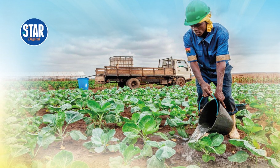 Counties lagging in contribution to agriculture sector 2019-2023