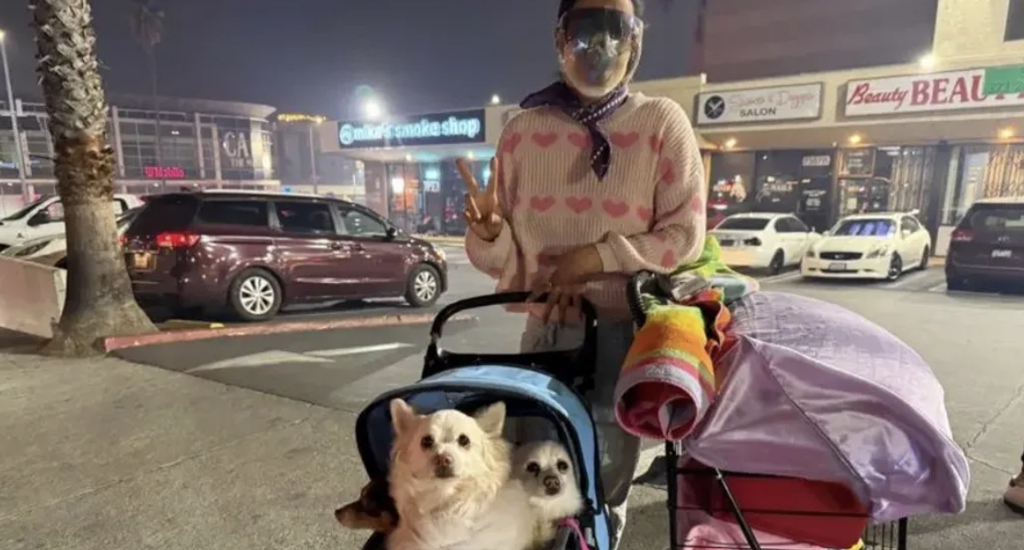 'Where do I go?' Chaos on Hollywood streets as people flee flames