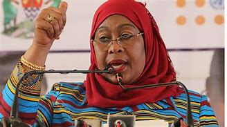 Suluhu defends police response during post-poll protests