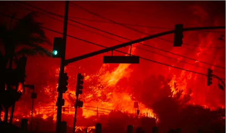 'Run for your lives!' LA residents flee wildfire on foot