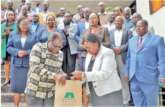 Two counties, KFS roll out Sh600m project in Mt Elgon