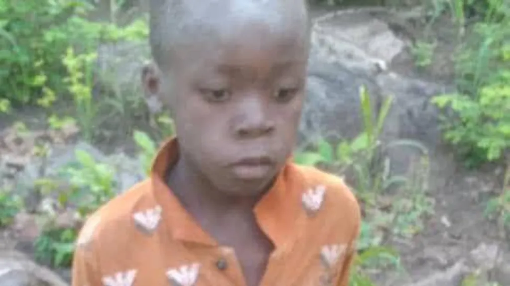 Boy, 8,  survives five days in lion-inhabited game park