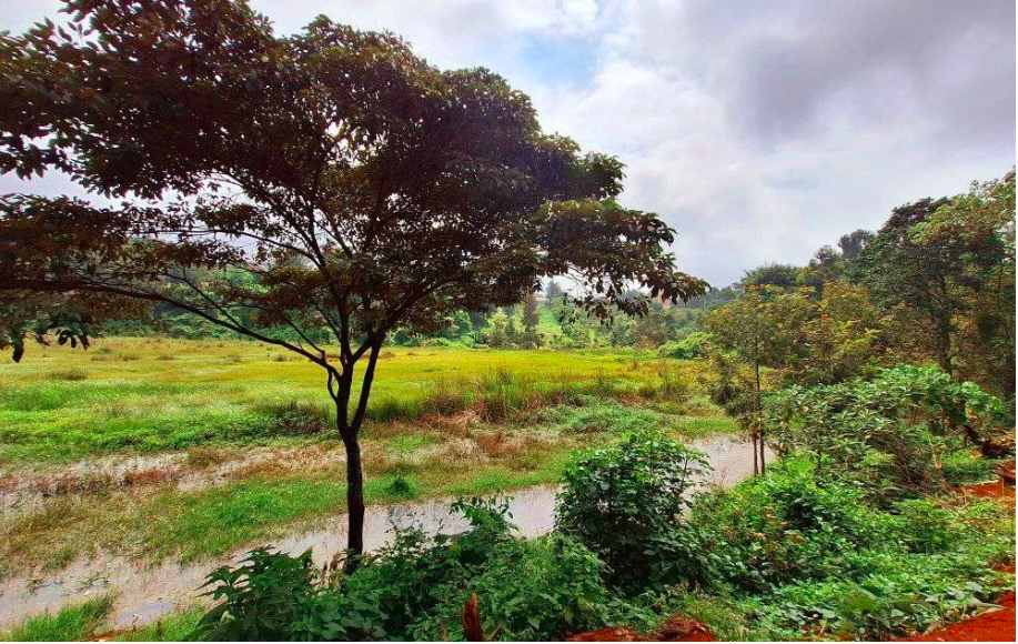 Malaria in Kikuyu: Kemri uncovers hidden threat in a supposedly safe zone