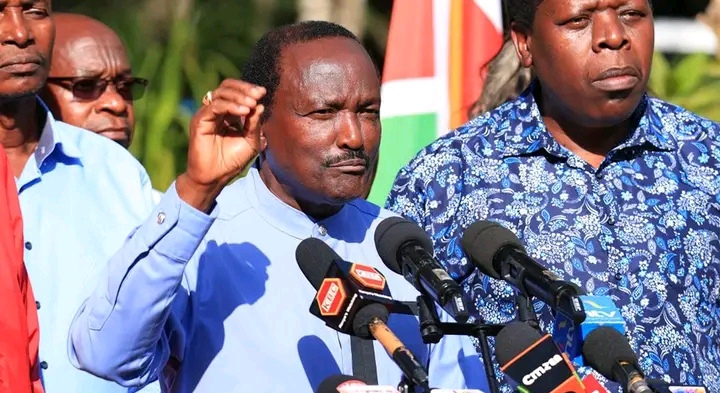 Kalonzo ashutumu IEBC kwa njama ya kuhamisha seva
