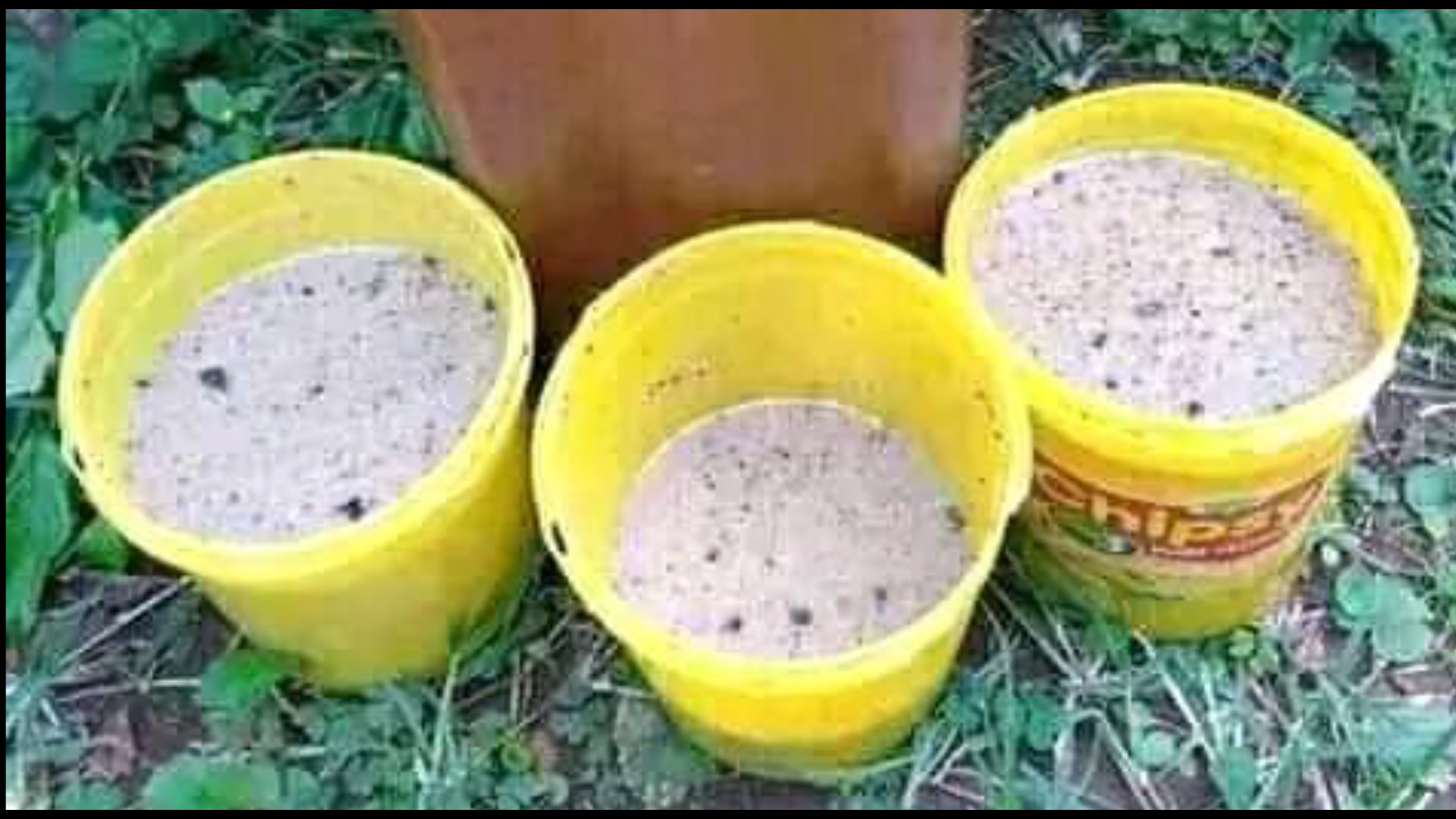 Pasta Afungwa Miezi 18 Jela Kwa Kumchapa Jirani Aliyekataa Kumnunulia Busaa