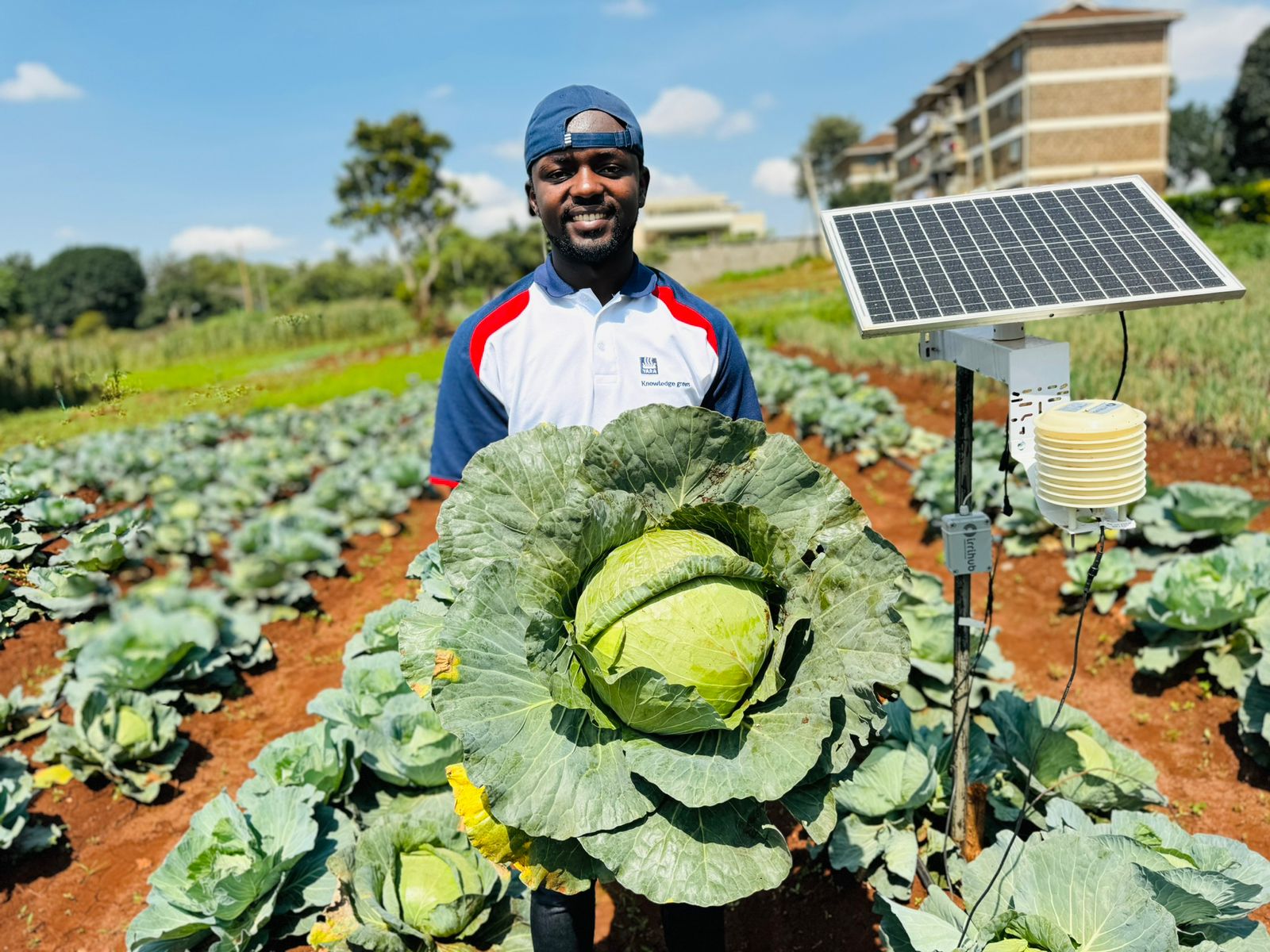 Leading from the front: The inspiring journey of Ronald Diang'a into regenerative farming