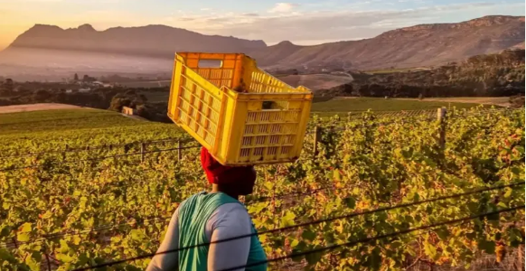 Rais wa Afrika Kusini atia saini sheria yenye utata ya kunyakua ardhi