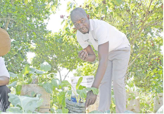 Over 1,000 Coast farmers to benefit from agricultural plan