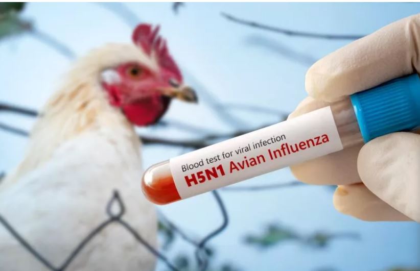First bird flu-related death reported in US