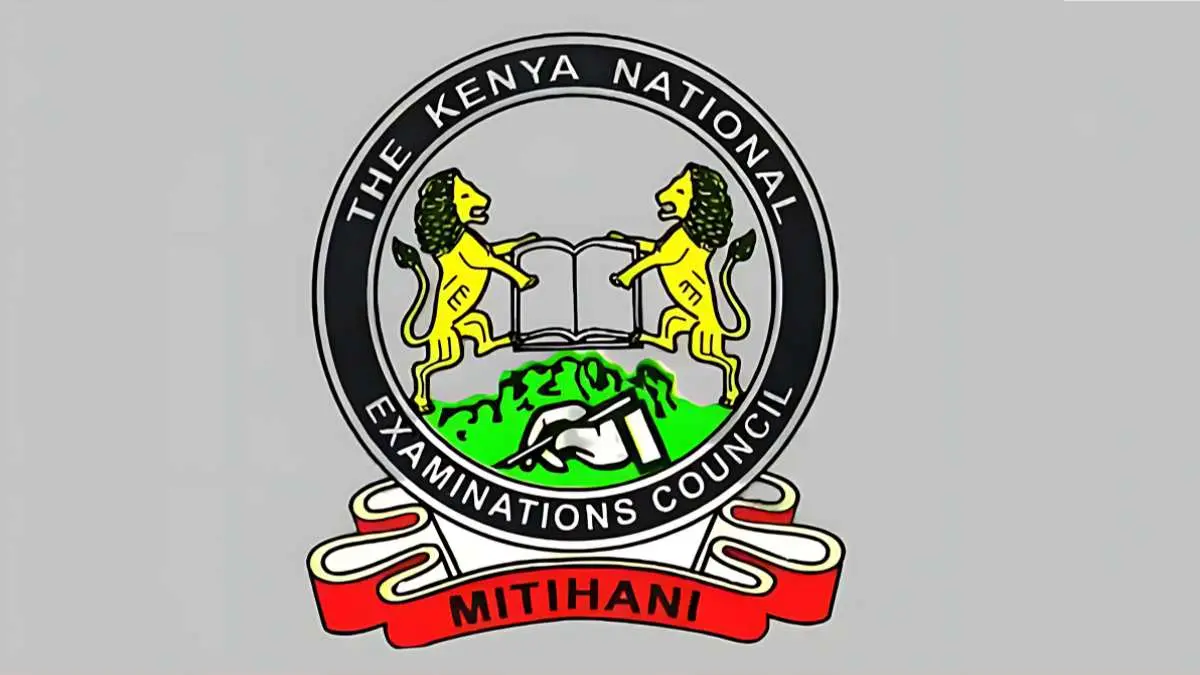 Kenyans Up in Arms as KNEC Results Portal Collapses