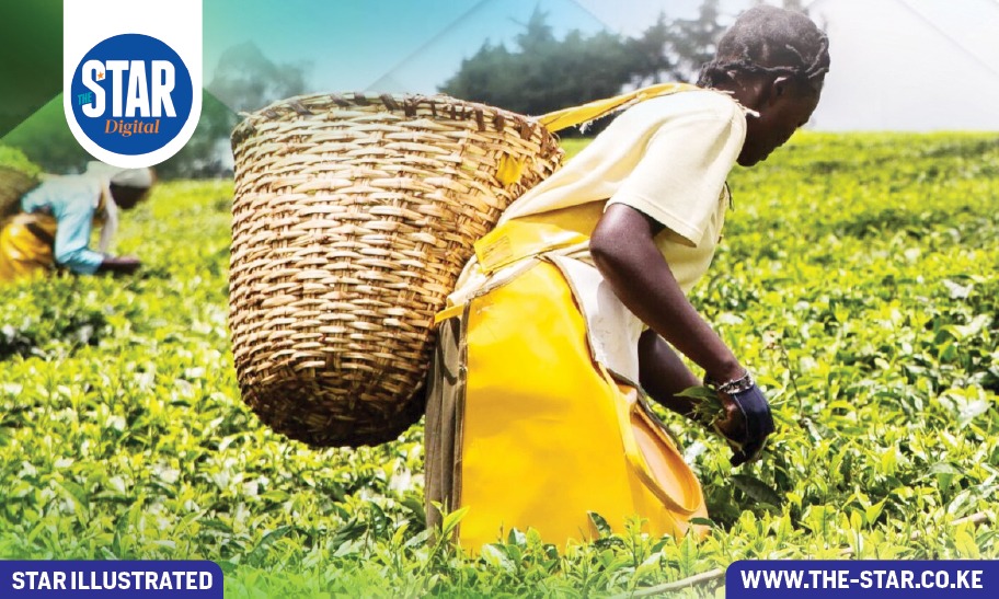 Proportion of respondents optimistic about Agriculture sector performance
