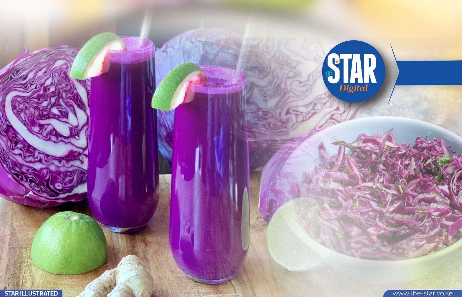 靴 ALL STAR FOOD TEXTILE HI PURPLE CABBAGE ALL STAR FOOD TEXTILE HI PURPLE CABBAGE