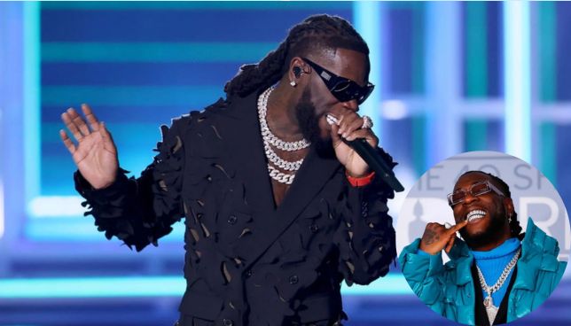 Full list of things banned from the Burna Boy concert on March 1