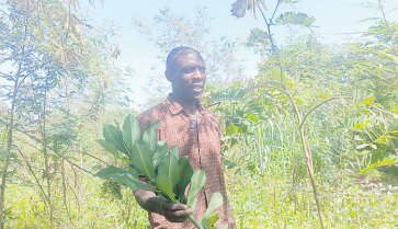 Rural farmers remain resilient despite climate change effects
