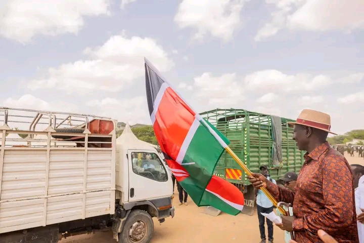 Nimesoma kuwashinda, Ruto aambia wanaopinga chanjo ya mifugo