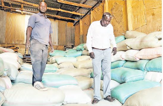 Maize prices soar amid dwindling NCPB supplies