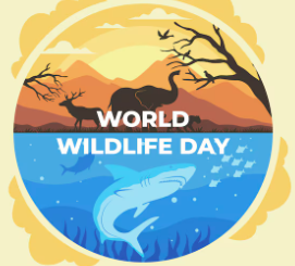 Baringo cleans up image to host Wildlife Day fete